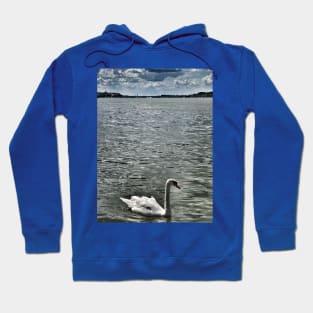 White beautiful swan on Danube river in Belgrade Hoodie